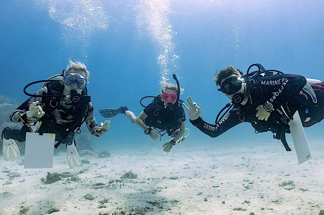 Les sites de plongée séduisants de Thaïlande deviennent votre salle de classe dans le cours PADI Advanced Open Water Diver – où chaque plongée est une opportunité d'exploration avancée.